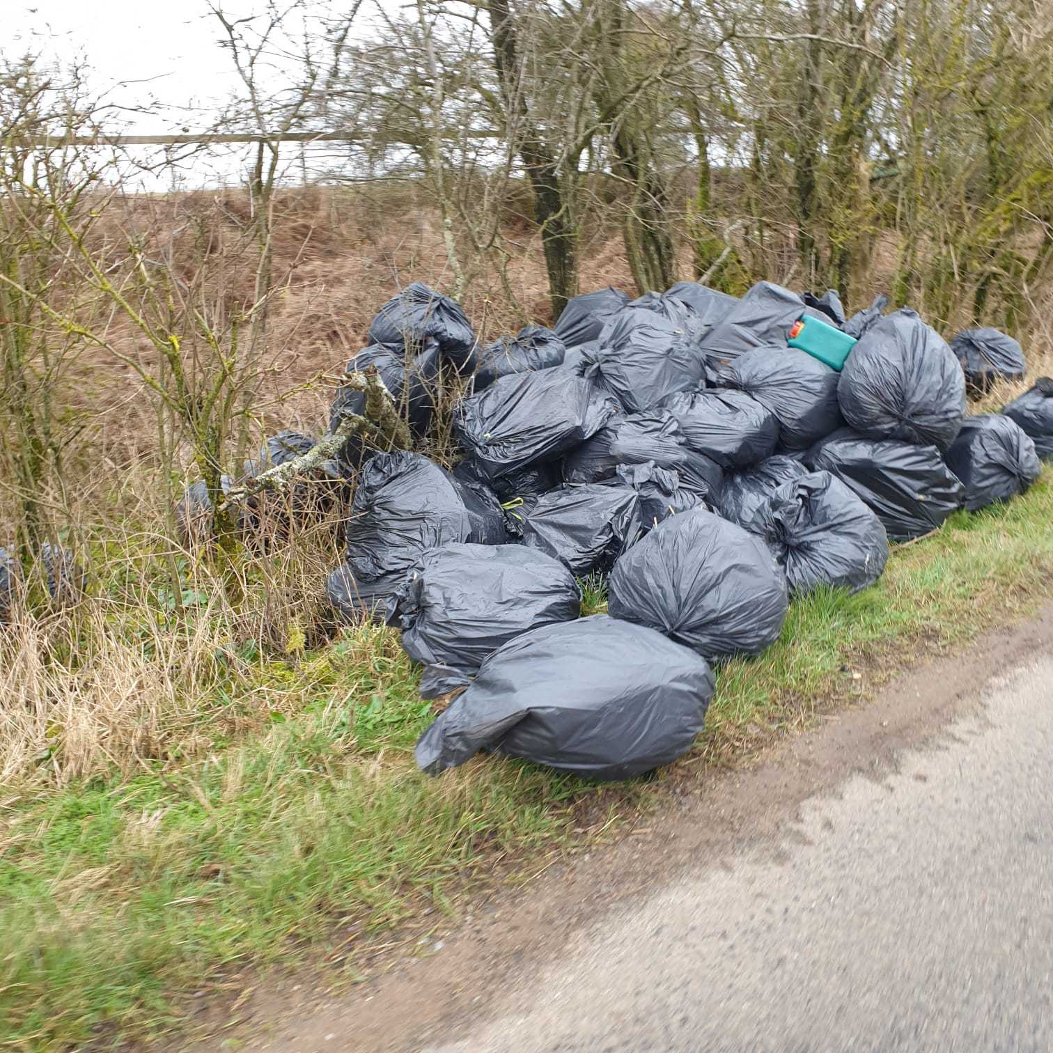 Around 50 bags were left at the side of the road in Brill 