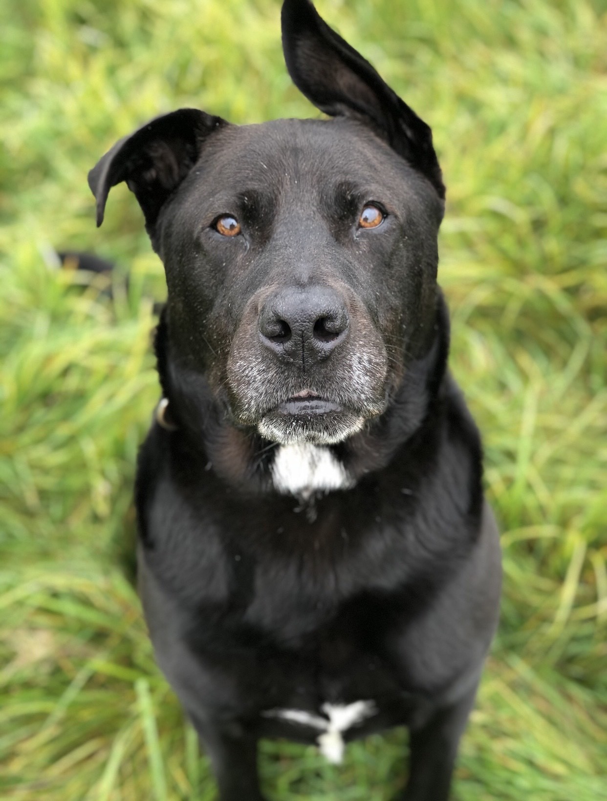 Maxy has been in the rescue centre since December 2019 