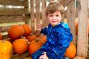 Where to go pumpkin picking this October (Credit: Odds Farm Park)