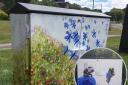 Town council scheme sees vibrant murals painted on internet cabinets
