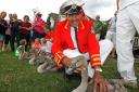 PICTURES: Swan Upping raises awareness of risks facing River Thames swans