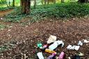 Litter lout dumps waste in iconic Bucks park