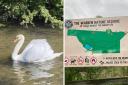 Dog walkers praised for abiding by signage after swan attack