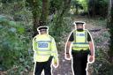 School warning over 'second' attack in woodland