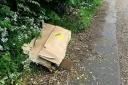 Woman is fined after 'accidental' waste dumping