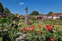 Town garden wins GOLD in Thames and Chilterns in Bloom