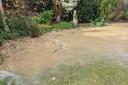 'It's a disaster': Elderly couple's garden FLOODS with raw sewage