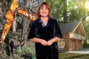 ITV presenter Lorraine Kelly has been urged by a resident in the Buckinghamshire village where she lives to help stop 'cowboy' builders after a woodland was cleared to make way for three bungalows