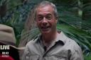 'I was being an idiot': Nigel Farage addresses plane crash in Bucks on I'm A Celeb