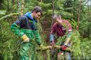Volunteers needed to transform woodland