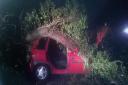 Injured woman cut free from car after being hit by falling tree