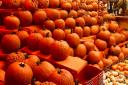 The best pumpkin patches to visit in the run up to Hallowe'en in Bucks