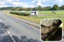 Thieves stealing catalytic converters from vehicles after dog walkers park up in broad daylight