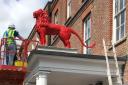 Wycombe Red Lion has VANISHED overnight