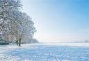 A snowy scene in the countryside. Credit: Canva