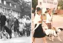 The club's parades in the 80s in Amersham. (Pictures courtesy of Amersham Dog Training Club).