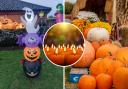 Trick or treat? Halloween events for all budgets