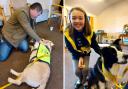 A therapy dog owner pleaded for more therapy dog volunteers as demand has soared