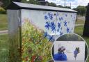 Town council scheme sees vibrant murals painted on internet cabinets