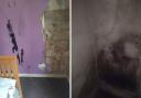 Vulnerable couple is forced to sleep on sofa amid black mould