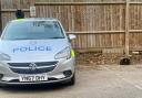 'This is our space' - two cats make themselves comfortable around an Aylesbury police car