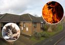 Cat owner is left in 'limbo' after fire damages home