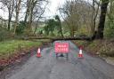 Fallen tree in Naphill