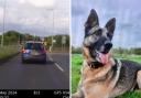 Police dog helps catch driver armed with knife after high-speed chase