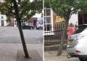 Man slams ‘awful’ vandalism to ‘beautiful’ trees on Marlow High Street