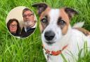‘If I saw her again, my heart would burst’: Hope for missing dog after six months