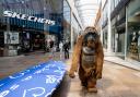 Life-size animals take over shopping centre this half-term
