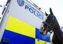 Police horses could be given the boot under new cost-cutting proposals