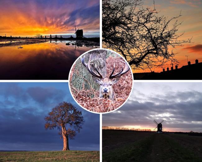 Just some of the most stunning snaps from the last week