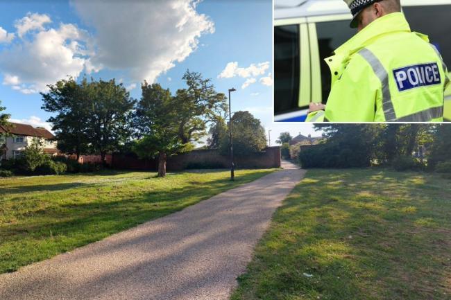 A Bucks man has been arrested after a man was stabbed in Baylis Park, Slough