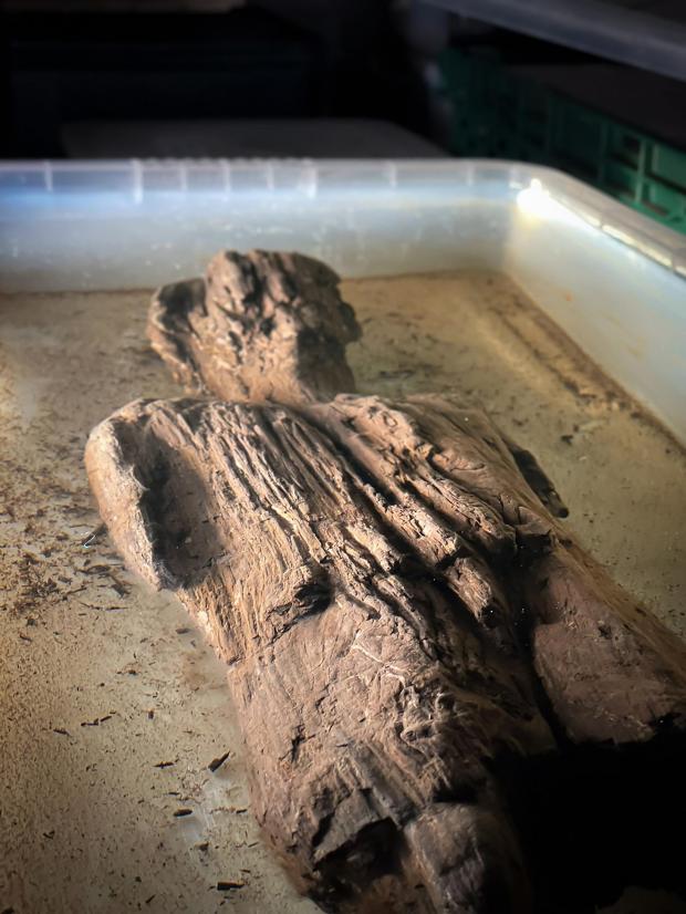 Bucks Free Press: Roman wooden carved figure which has been discovered in a waterlogged ditch during work on the HS2 project. Credit: HS2/PA