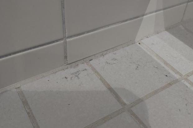 Bucks Free Press: Dust and hair on the changing room floor. 