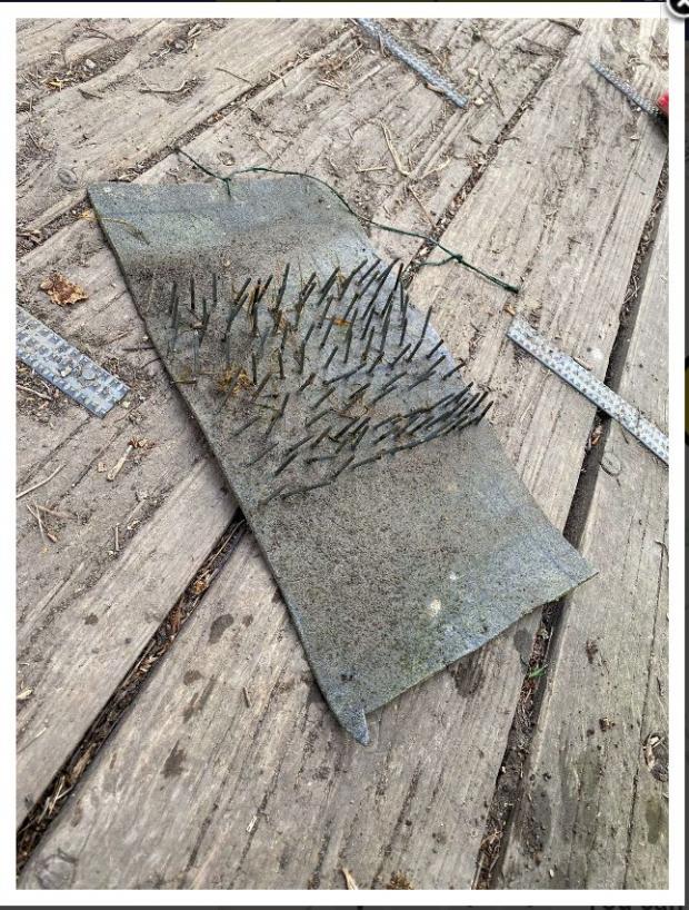 Bucks Free Press: The 'nasty' trap was found by a young boy playing in the shallow water