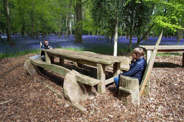 Bucks Free Press: Visitors can enjoy the gorgeous bluebells while sipping hot or cold drinks with snacks (Credit: Simon Varnals).