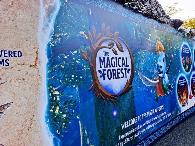 Bucks Free Press: The Magical Forest. (Emilia Kettle)