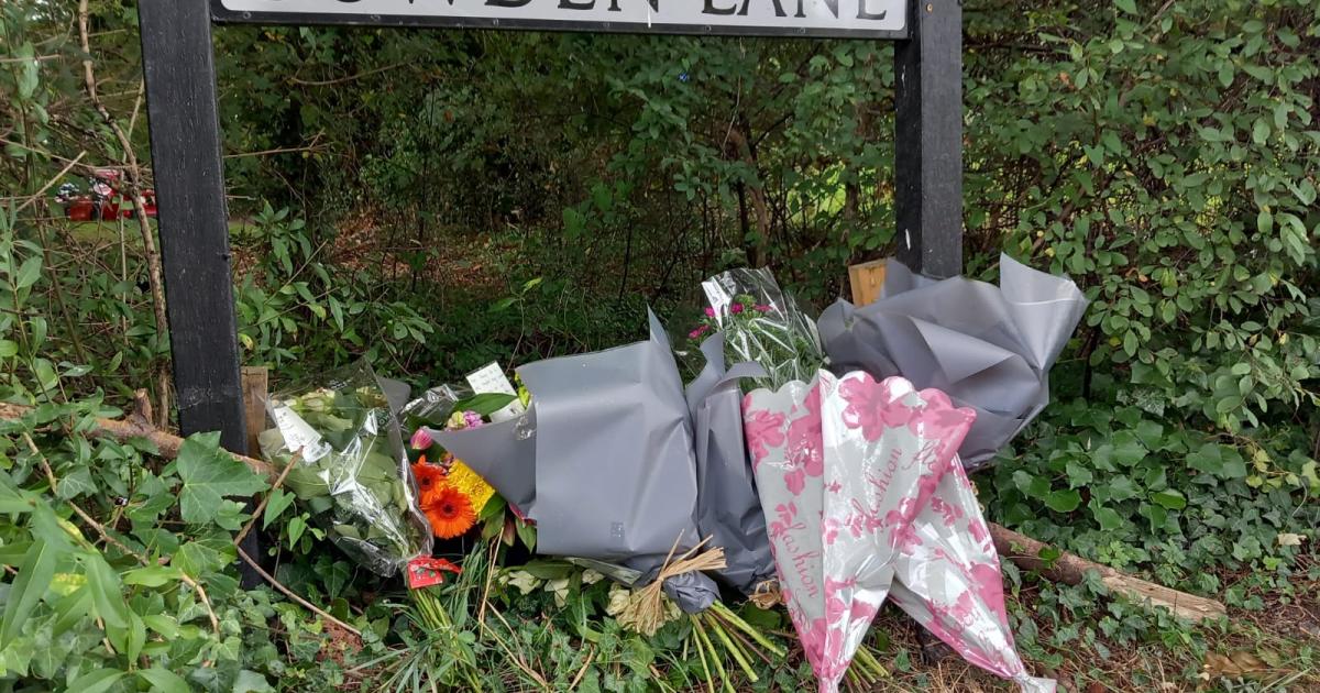 High Wycombe stabbing trial: judge sums up murder case - Vimarsana News