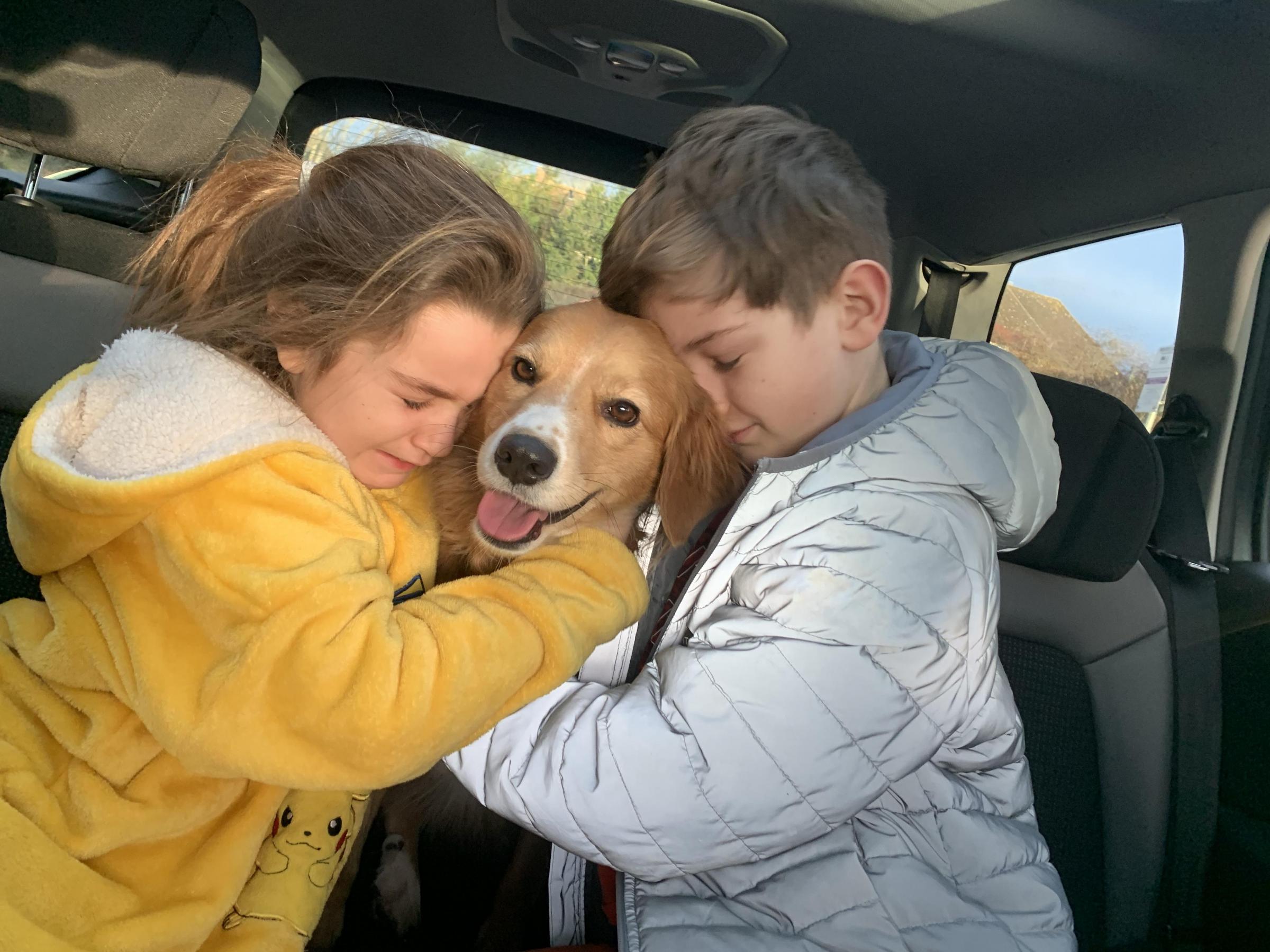 Family reunited with missing dog after six day search - Vimarsana News