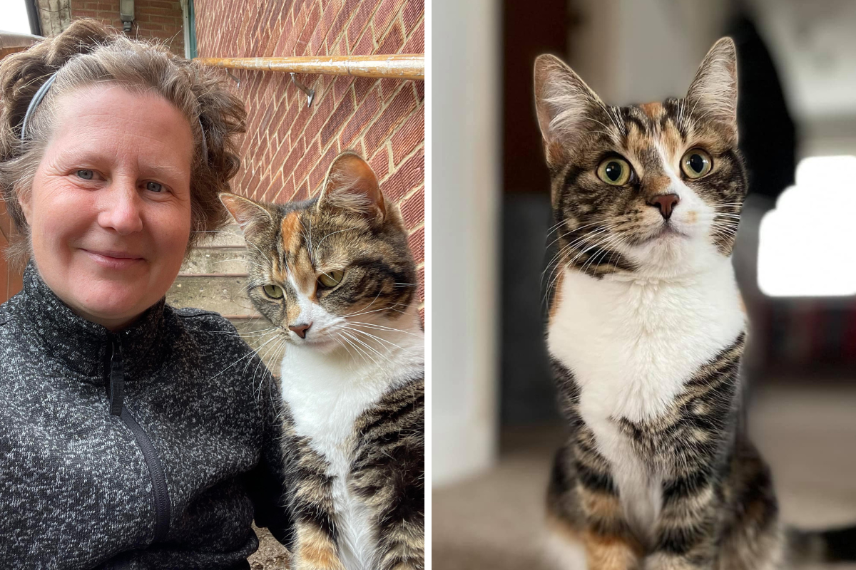 Marlow: Woman's plea to 'stop speeding' after death of cat - Vimarsana News