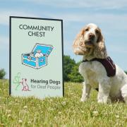 Hearing Dogs for Deaf People are the first of three charities set for the world-famous board game (Winning Moves UK).