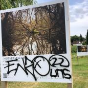 Popular Chesham exhibition artist left 'sickened' amid vandalism