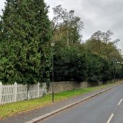 Leak on village road goes unfixed for SEVEN weeks - despite plea not to waste water