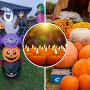 Trick or treat? Halloween events for all budgets