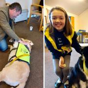 A therapy dog owner pleaded for more therapy dog volunteers as demand has soared
