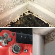 Family forced to move out of their home as mould takes over