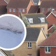 Citizens Advice reports rise in people suffering with mould and damp in Bucks homes