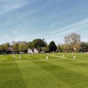 Marlow Cricket Club are looking for new players